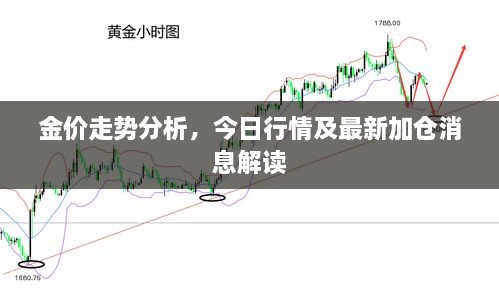 金价走势分析，今日行情及最新加仓消息解读