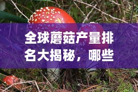 全球蘑菇产量排名大揭秘，哪些品种独占鳌头？