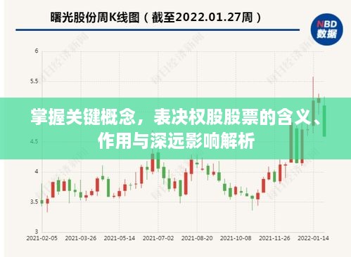 掌握关键概念，表决权股股票的含义、作用与深远影响解析