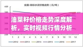 油菜籽价格走势深度解析，实时视频行情分析