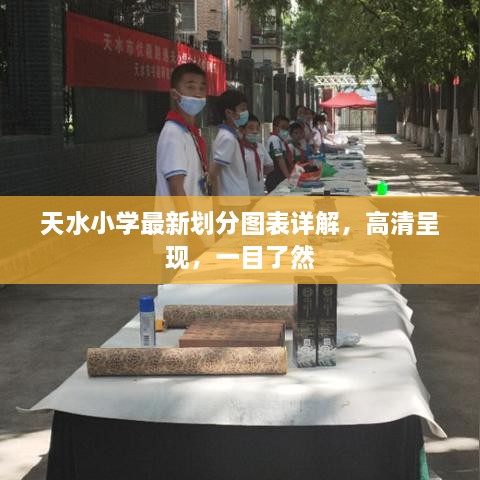 天水小学最新划分图表详解，高清呈现，一目了然