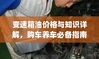 变速箱油价格与知识详解，购车养车必备指南