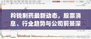 羚锐制药最新动态，股票消息、行业趋势与公司前景深度解析