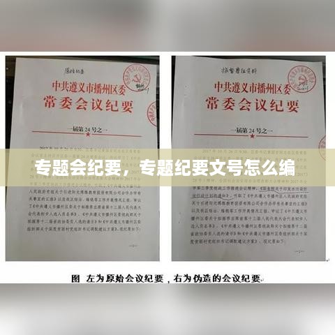 专题会纪要，专题纪要文号怎么编 