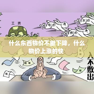 什么东西物价不断下降，什么物价上涨的快 