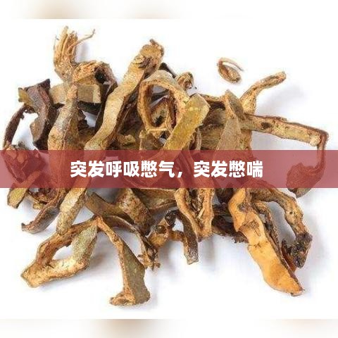 突发呼吸憋气，突发憋喘 