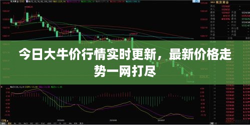 今日大牛价行情实时更新，最新价格走势一网打尽