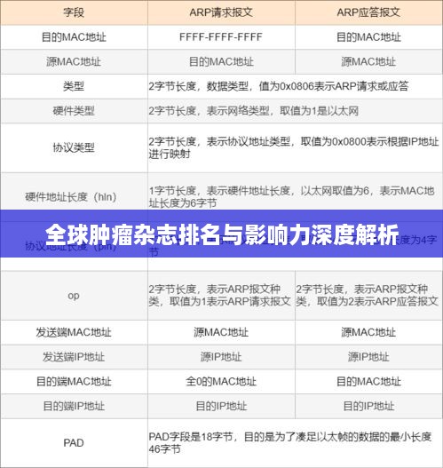 全球肿瘤杂志排名与影响力深度解析