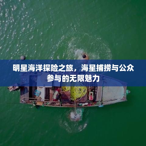 明星海洋探险之旅，海星捕捞与公众参与的无限魅力