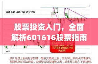 股票投资入门，全面解析601616股票指南