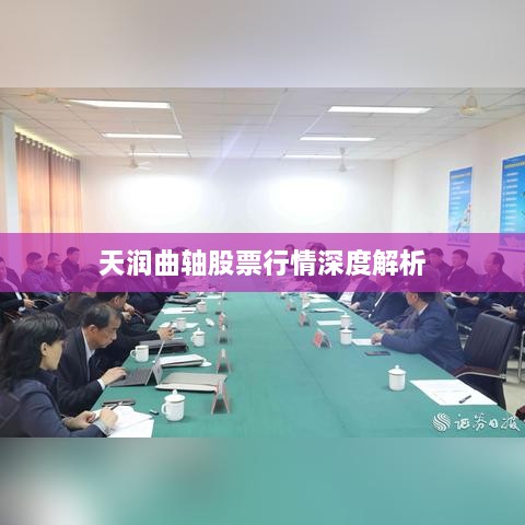天润曲轴股票行情深度解析